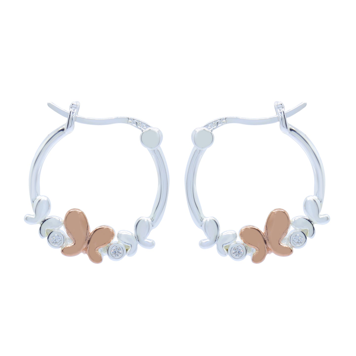 Earrings-E2523_2.88g_4