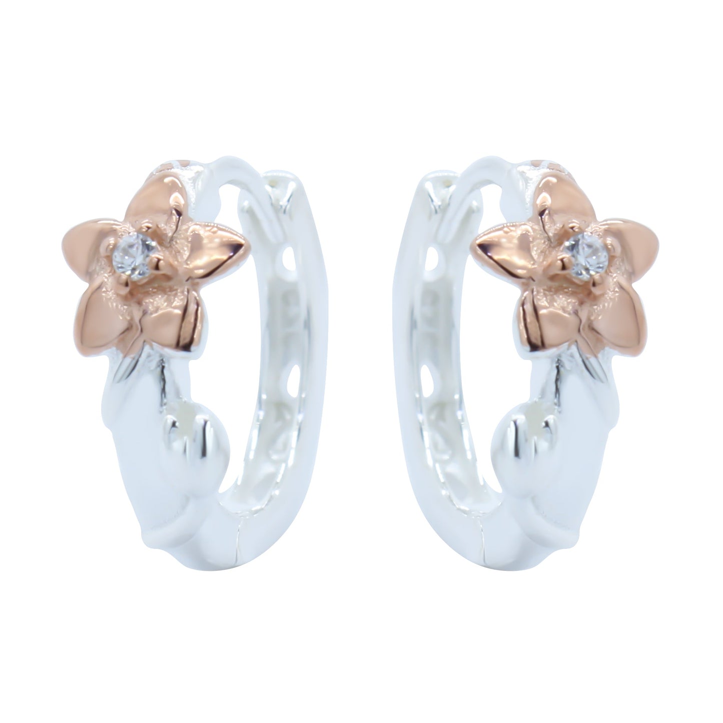 Earrings-E2539_2.68g_2