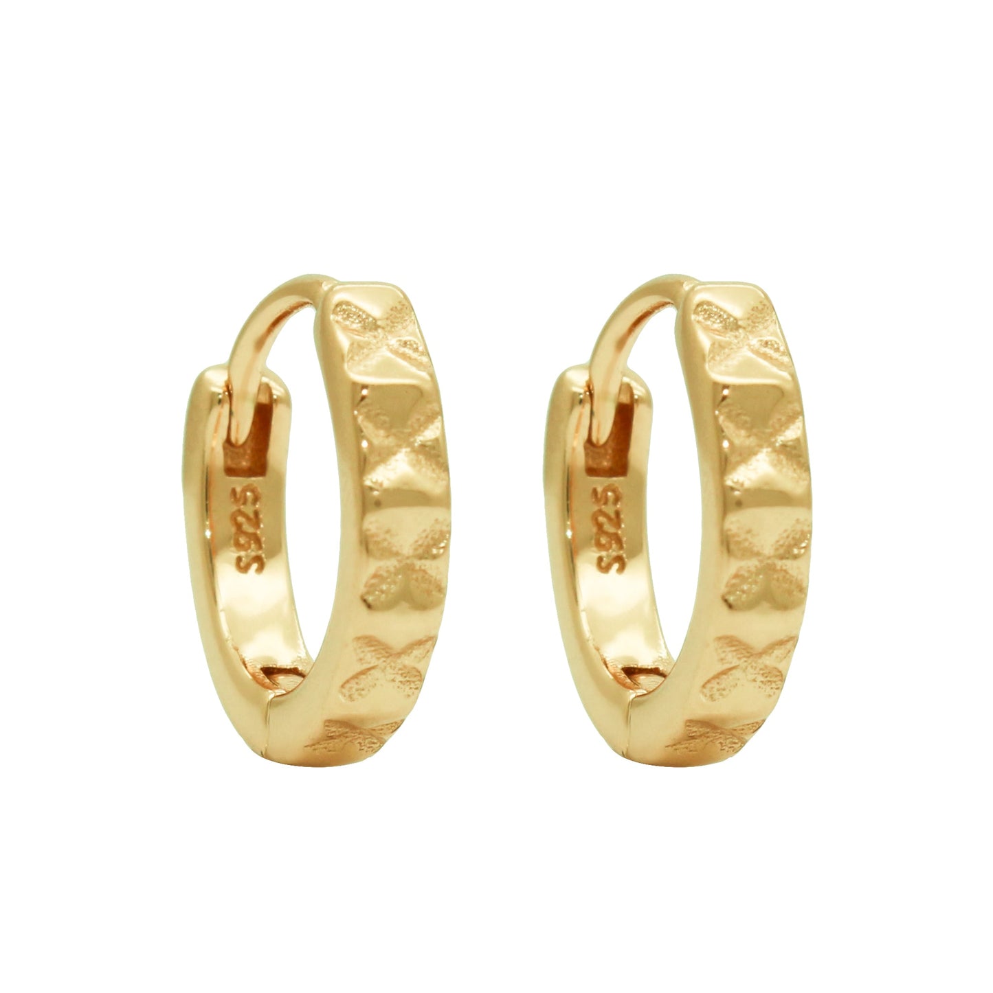 Earrings-E2589-G