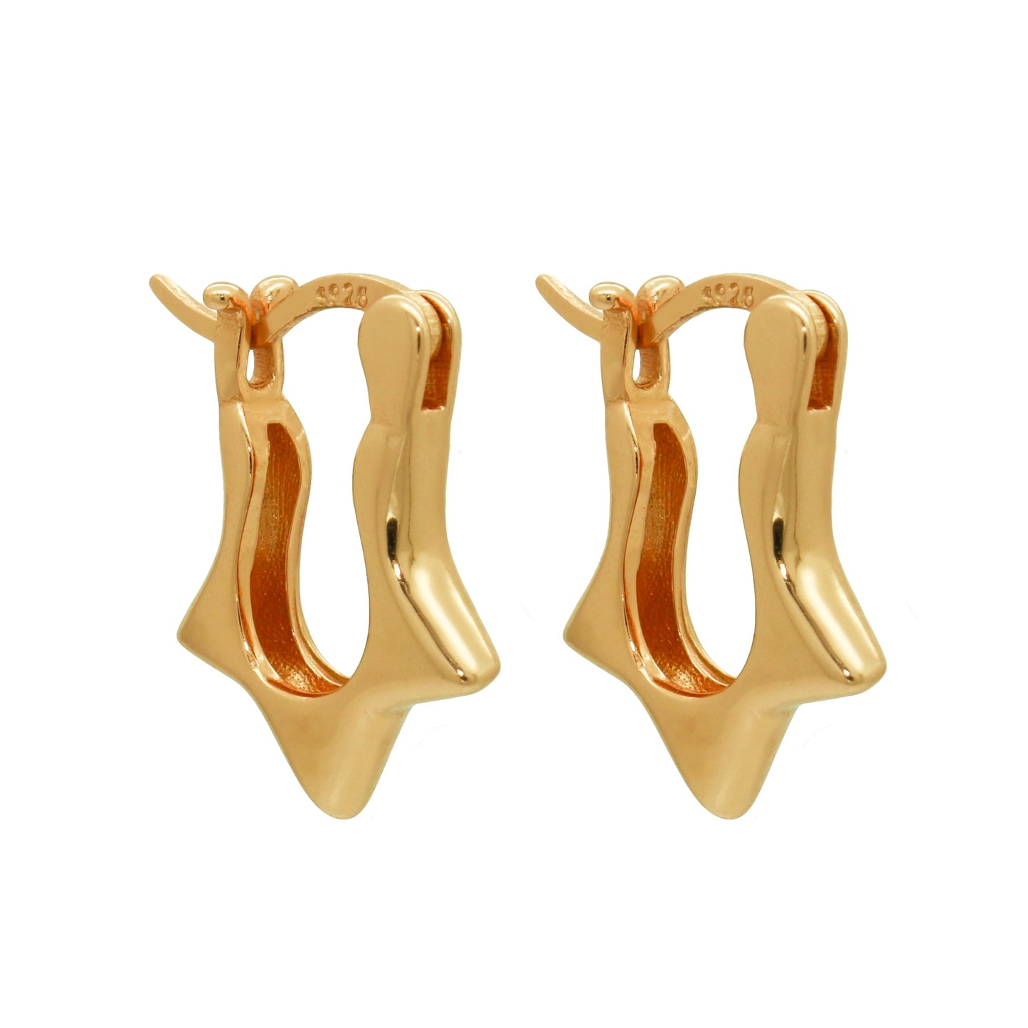 Earrings-E2615-G