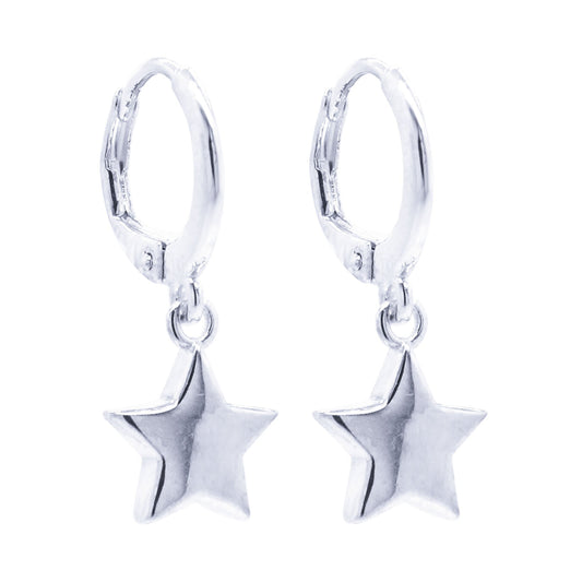Earrings-E1095_2.95g