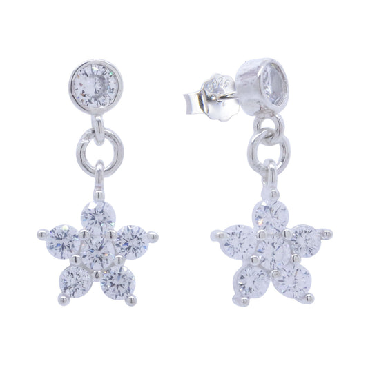 Earrings-E1116_2.68g_2_12