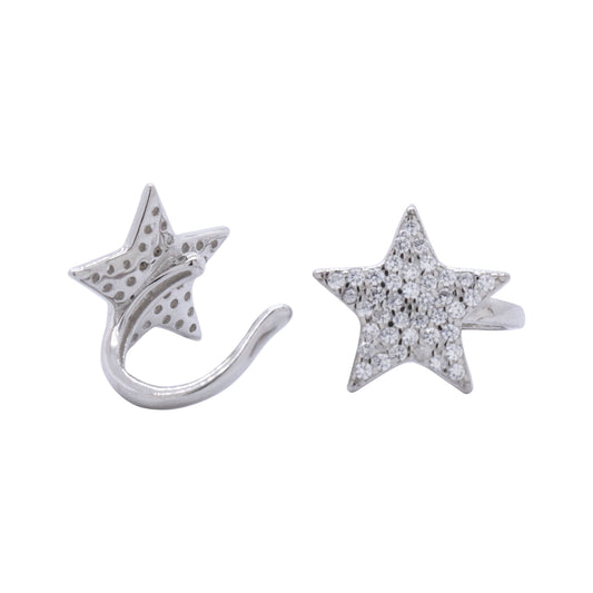 Earrings-E1118_2.48g_80