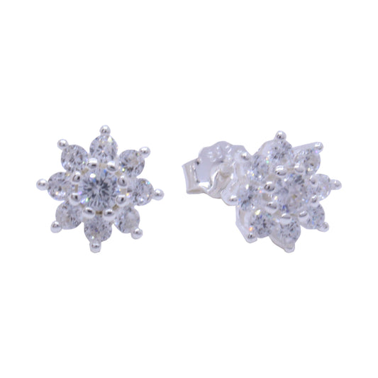 Earrings-E1294