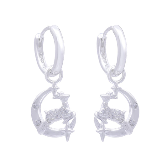 Earrings-E1724