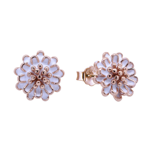 Earrings-E1874_R