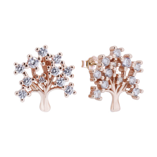 Earrings-E1970_R