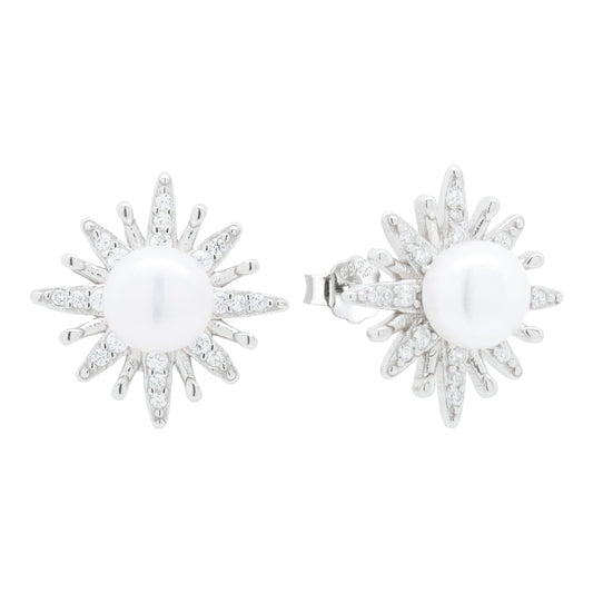 Earrings-E2071