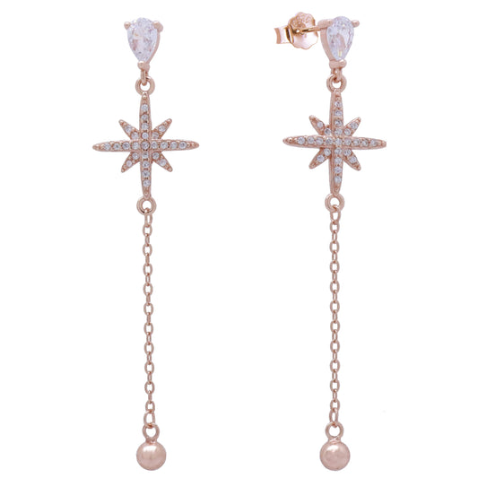 Earrings-E2078_2.89g_R