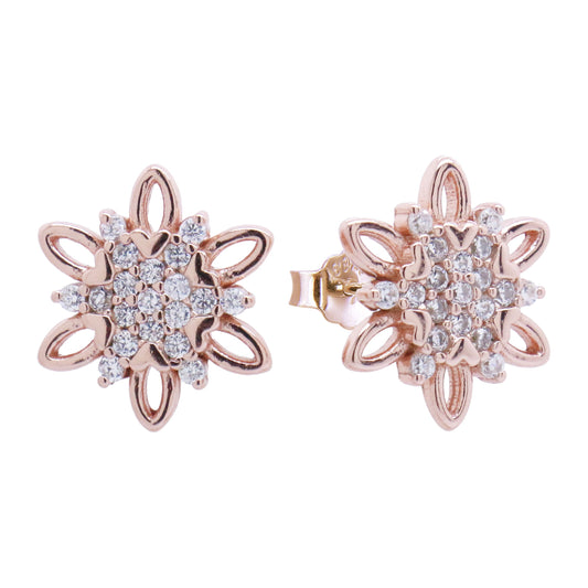 Earrings-E2081_38_2.3g_R