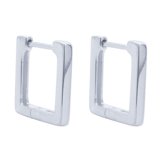 Earrings-E2265_2.99g