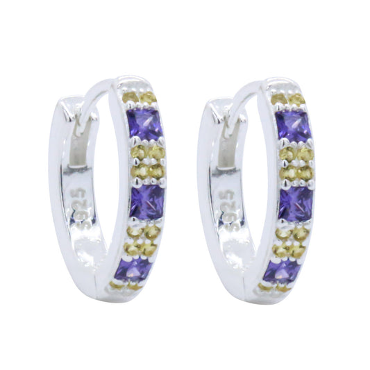Earrings-E2338_2.93g_6_24