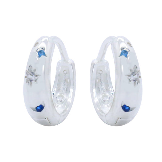 Earrings-E2374_2.93g_8_8