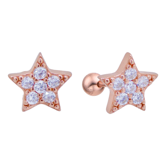 Earrings-E2406_2.13g_12_R