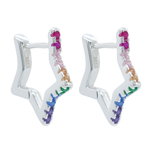 Earrings-E2495_2.43g_24