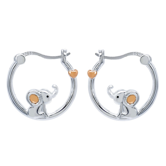 Earrings-E2505_3.0g
