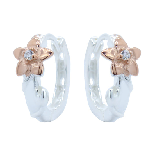 Earrings-E2539_2.68g_2