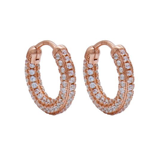 Earrings-E2588-R