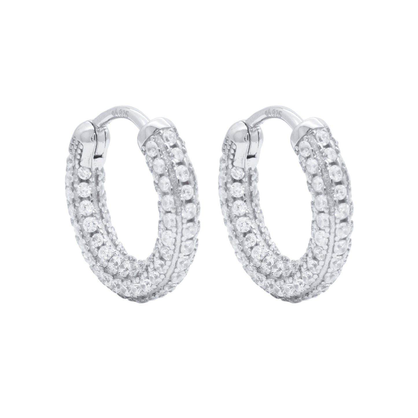 Earrings-E2588