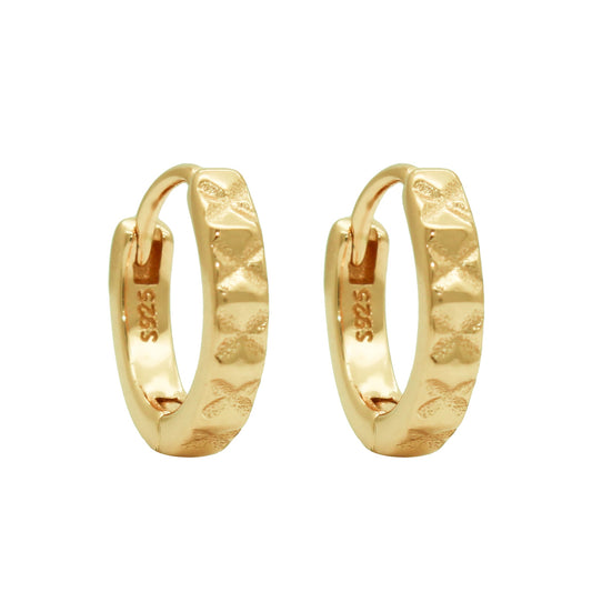 Earrings-E2589-G