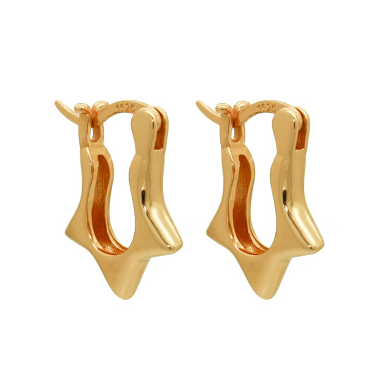 Earrings-E2615-G