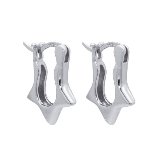 Earrings-E2615