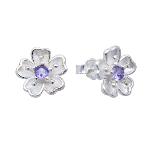 Earrings-E2621