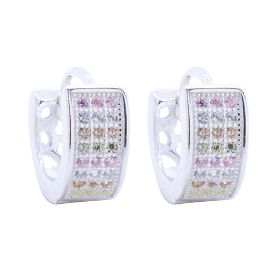 Earrings-E639_2.70g